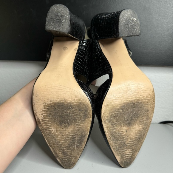 Nabor Renteria - Picture 4 of 8